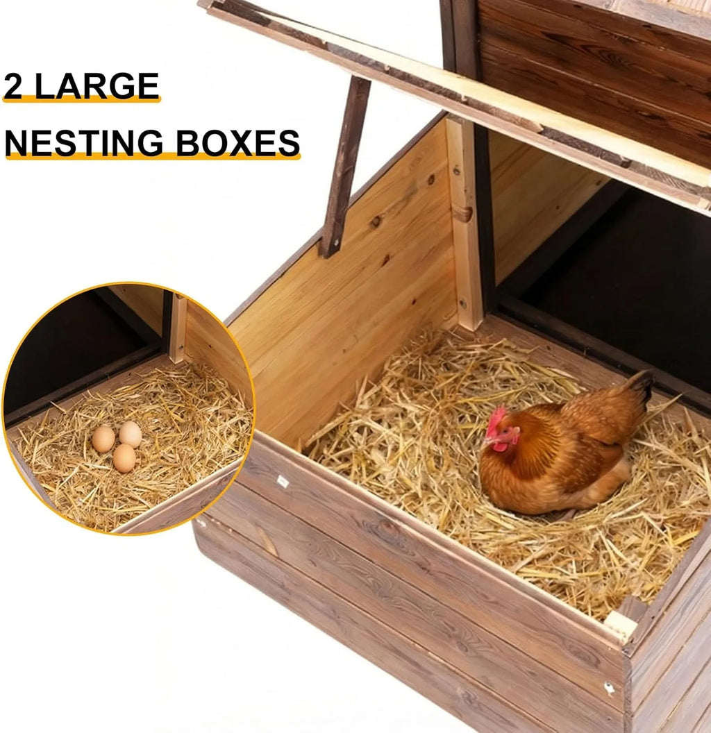 Chicken Coop with 2 Nesting Boxes