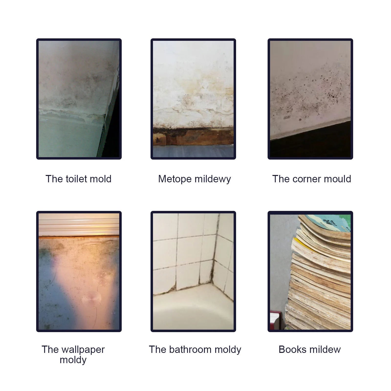 Mold Removal Spray for Tile Toilet Wall Kitchen Mildew Cleaner
