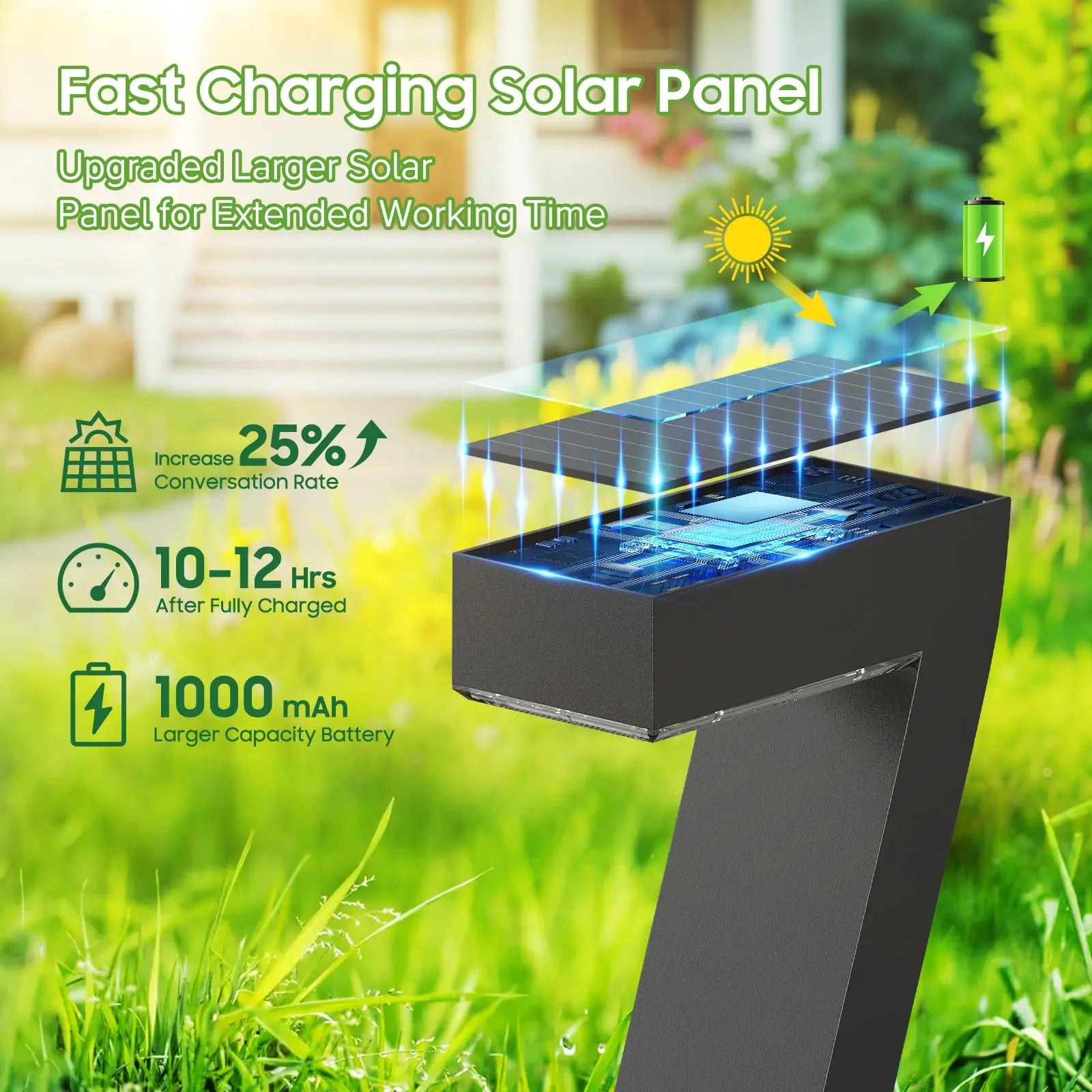 LED Solar Pathway Lights