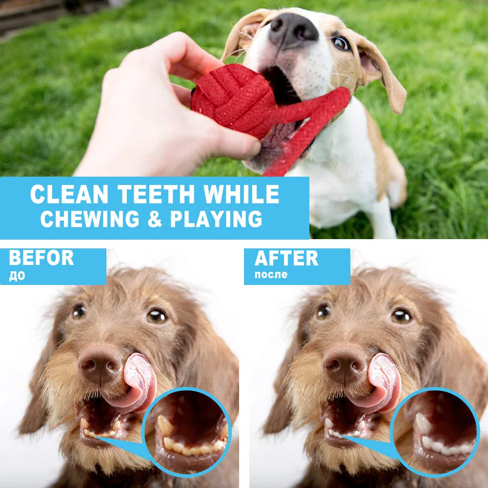 12Pcs Large Dog Chew Rope Toy Set