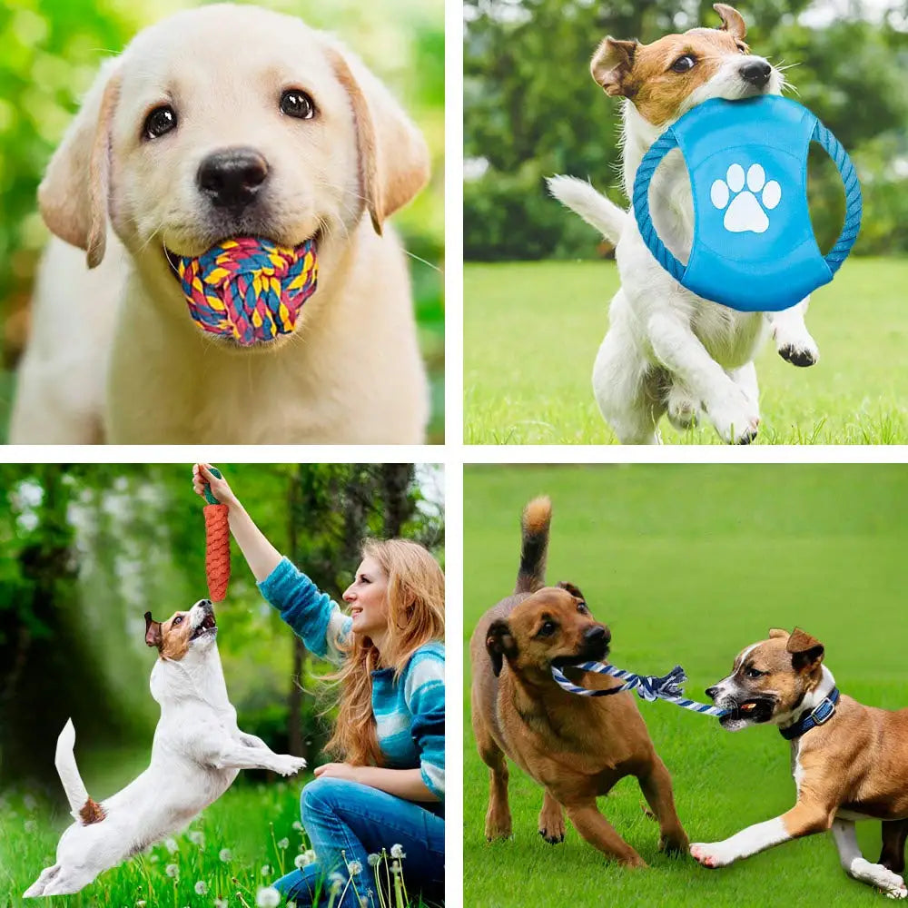 12Pcs Large Dog Chew Rope Toy Set