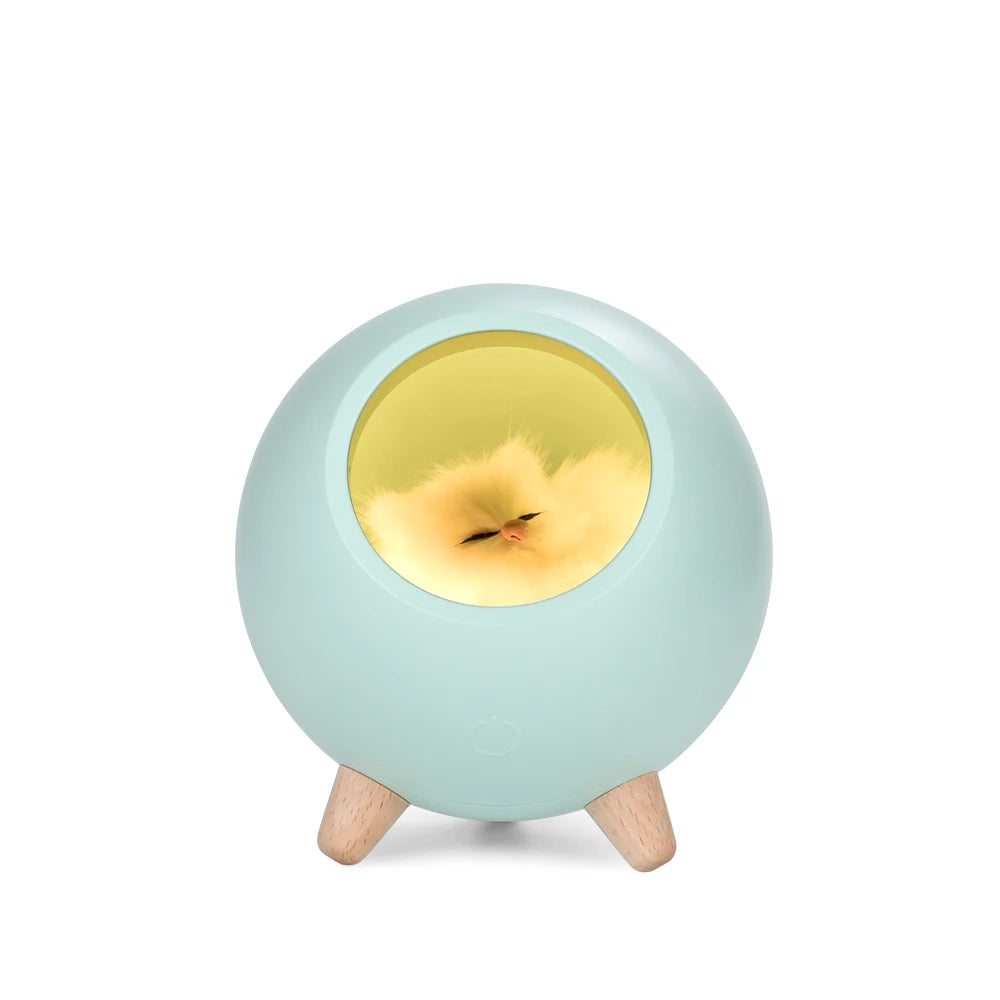 USB Cute Cat House Touch Dimming LED