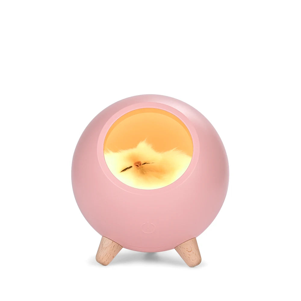 USB Cute Cat House Touch Dimming LED