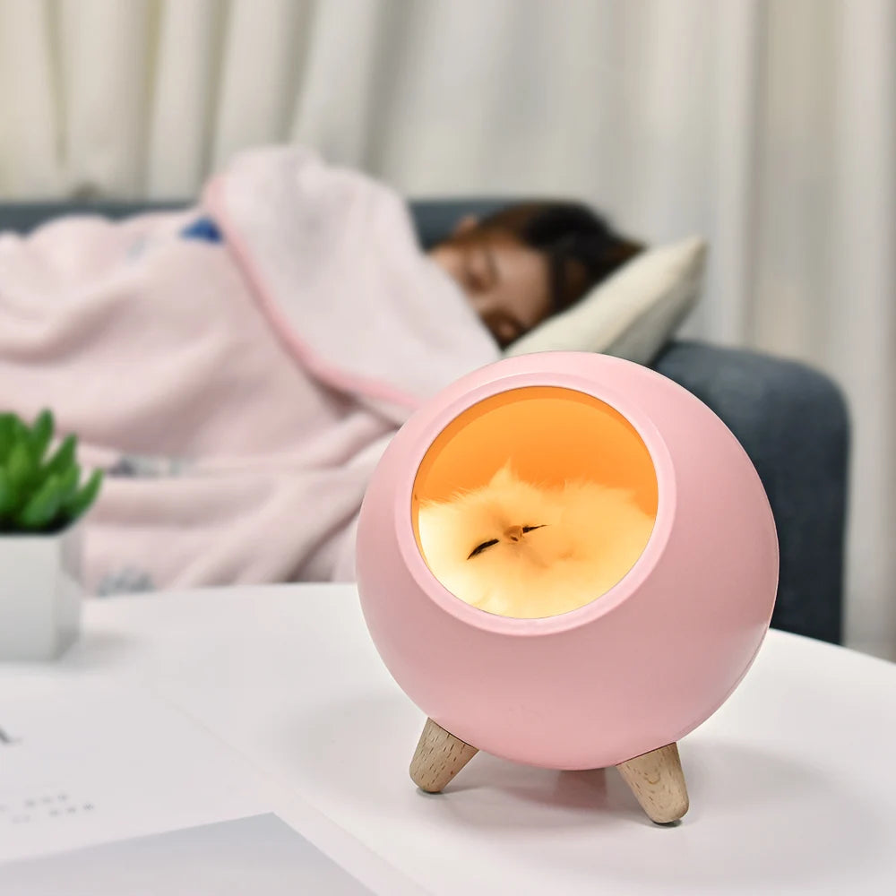 USB Cute Cat House Touch Dimming LED