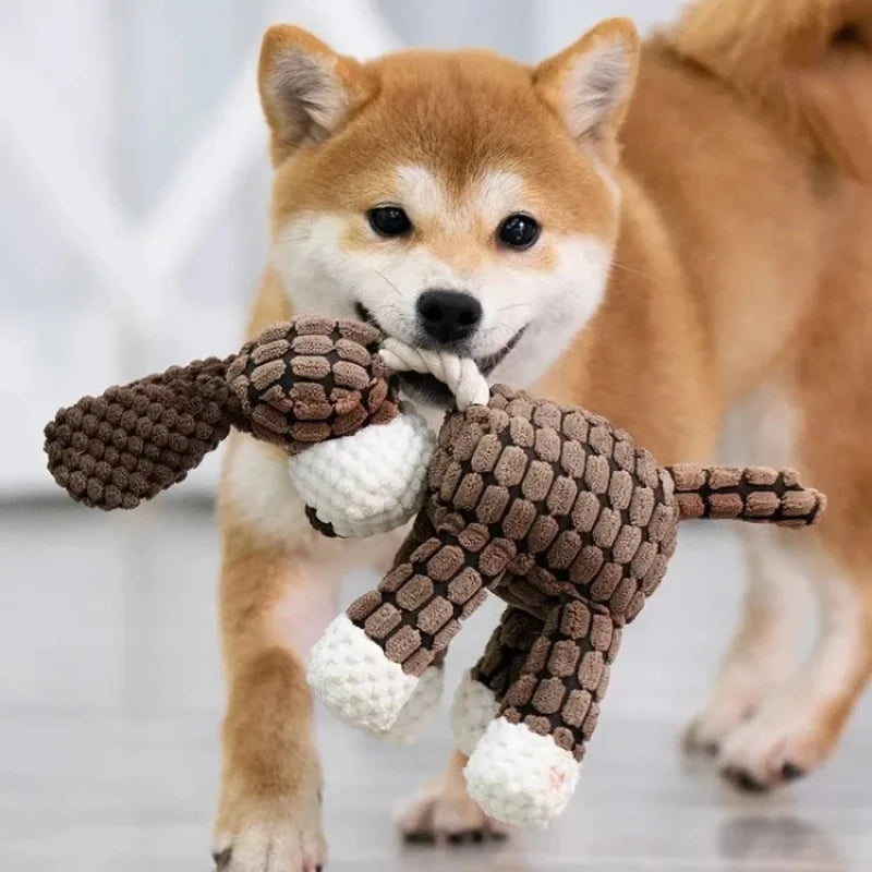 Squeaky Puppy Chew Toys