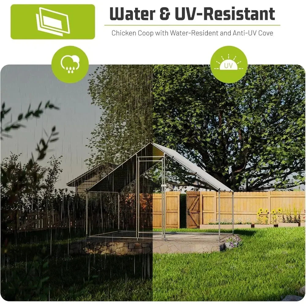 Walk-In Chicken Coop