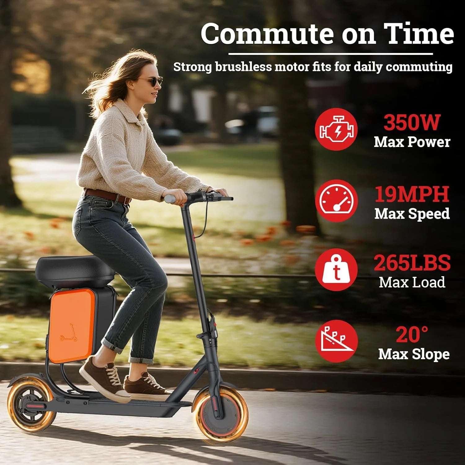 Electric Scooter 350W Motor