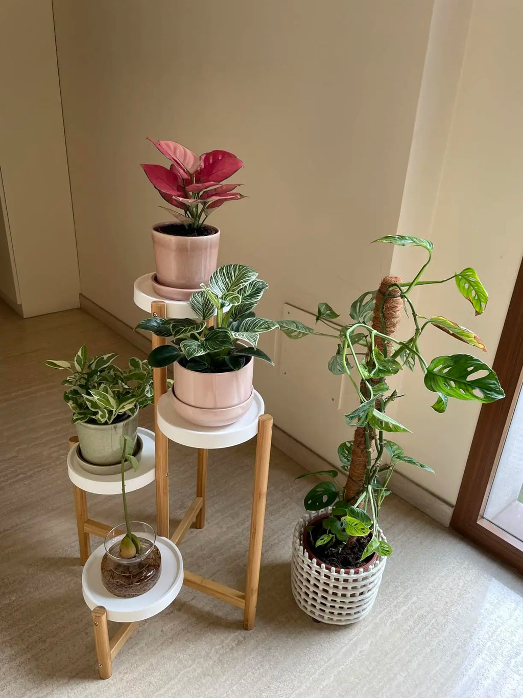 4 Tier Bamboo Plant Display