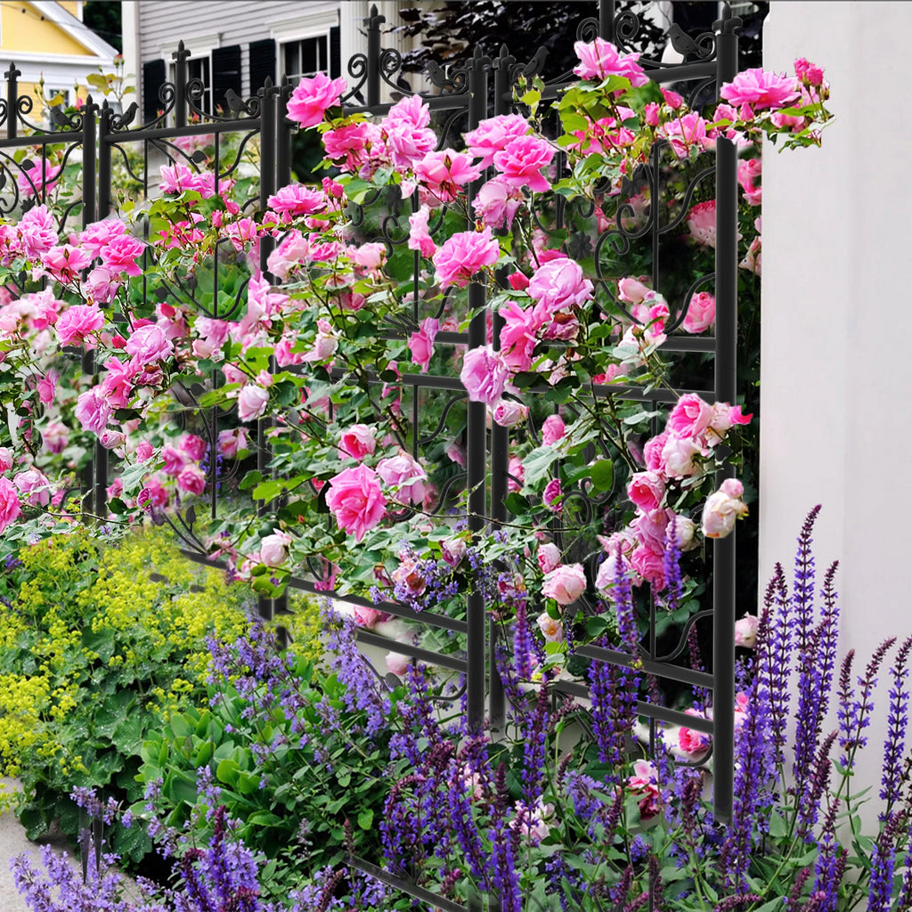 Thick Metal Garden Trellis