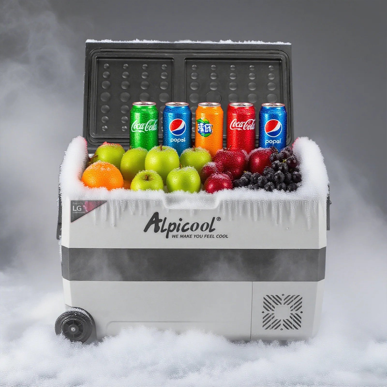 Dual Temperature Control 12 Volt Refrigerator