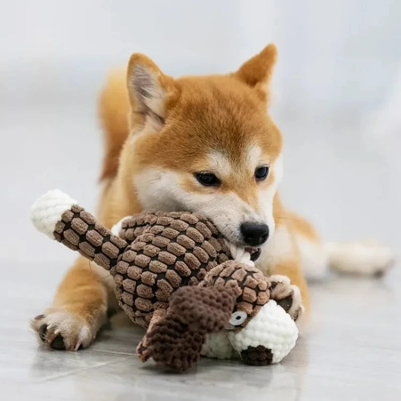 Squeaky Puppy Chew Toys