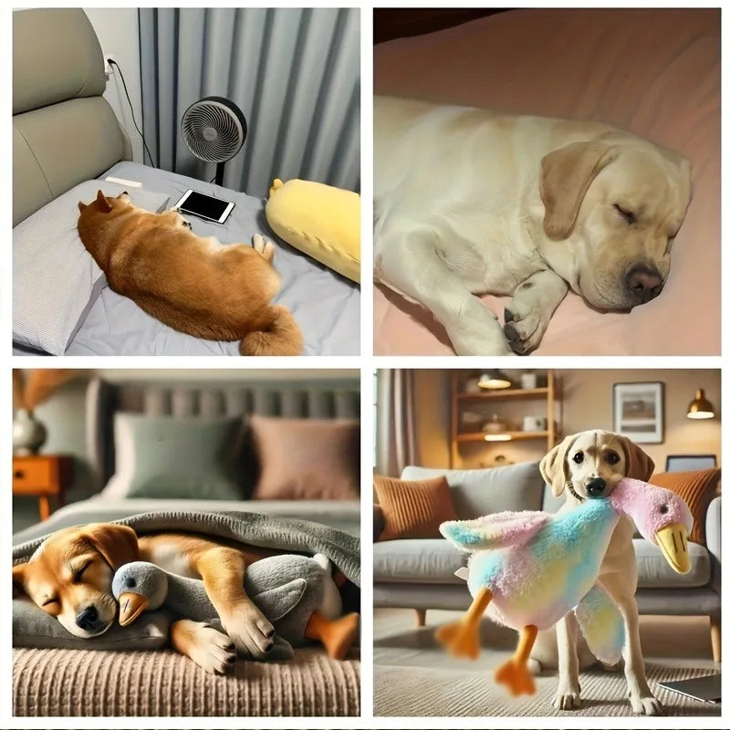 Duck Plush Toy for Cats/Dogs