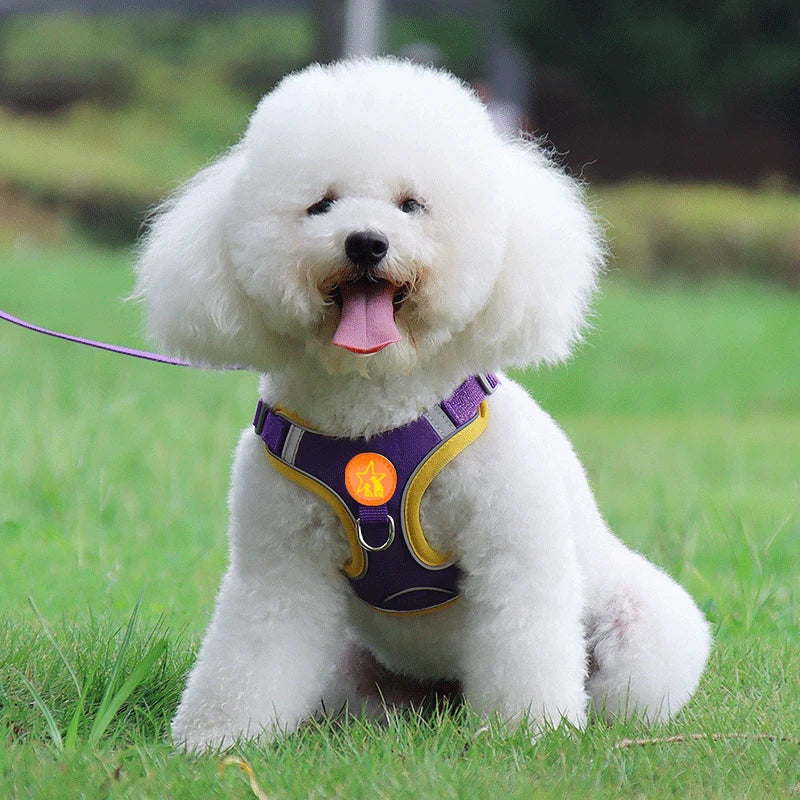 Small Medium Dogs Harness Vest