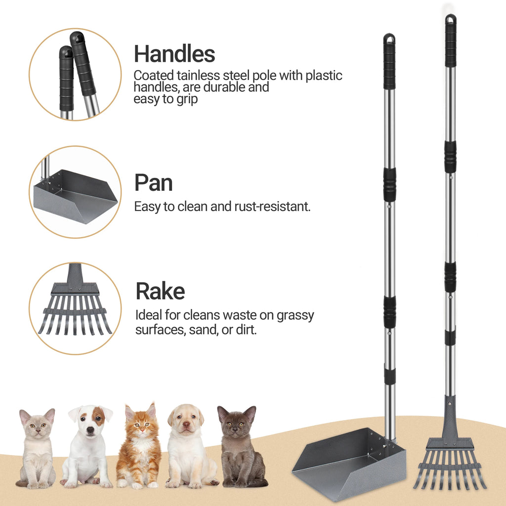 Dog Poop Tray and Rake Set