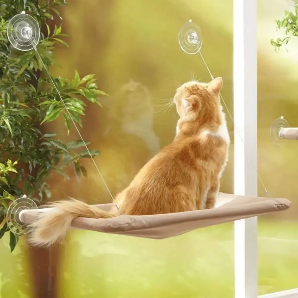 Cat Hammock, Suspended Balcony