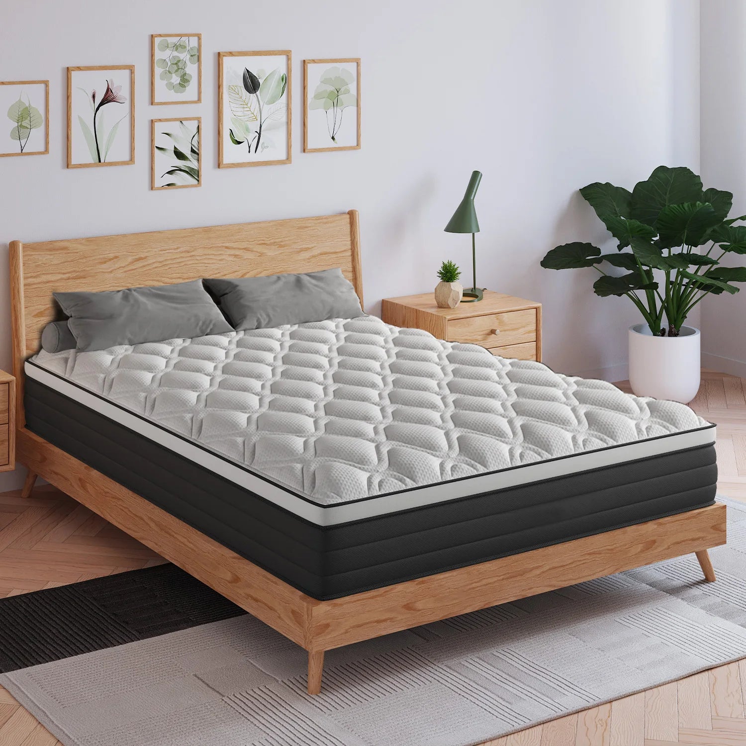 Twin Full King Queen Mattress in A Box