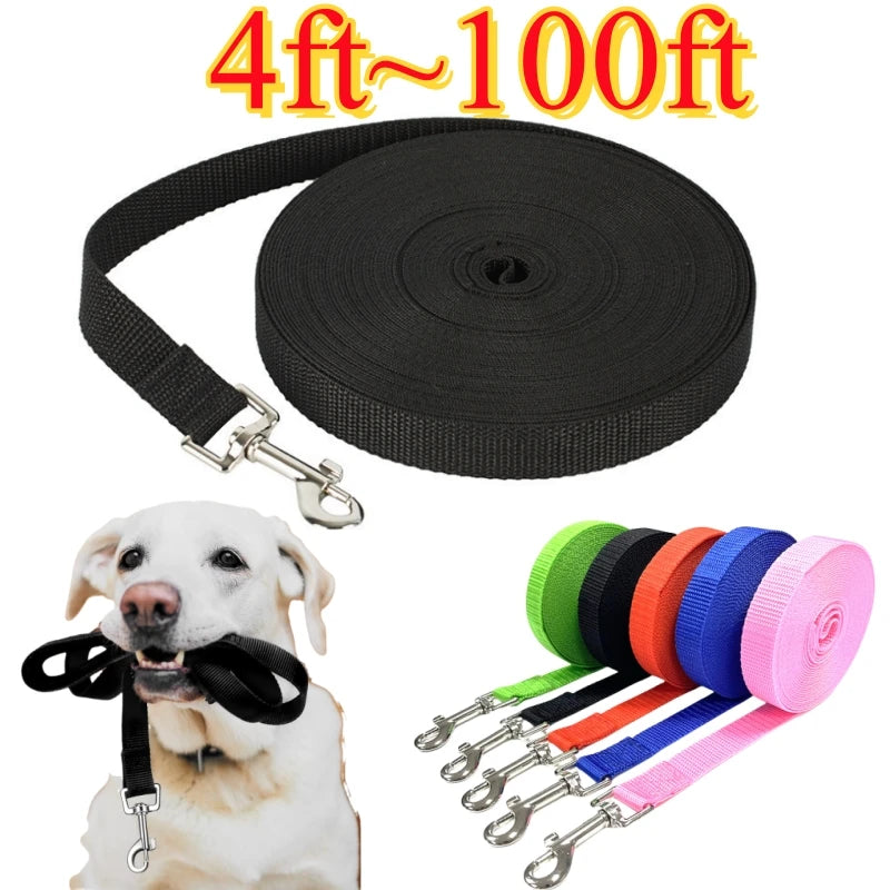 Nylon Dog Leash Long Leash