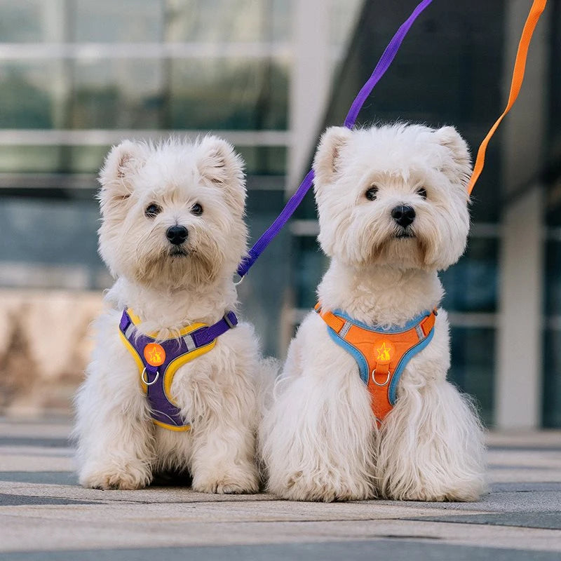 Small Medium Dogs Harness Vest