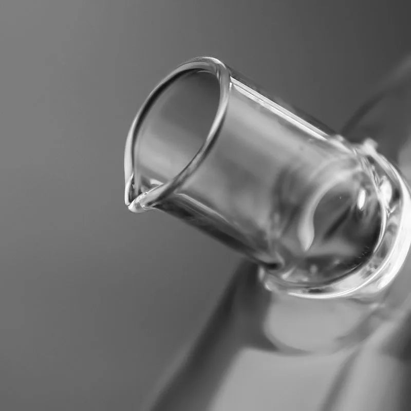 2-in-1 Double Layer Oil/Vinegar Glass Bottle