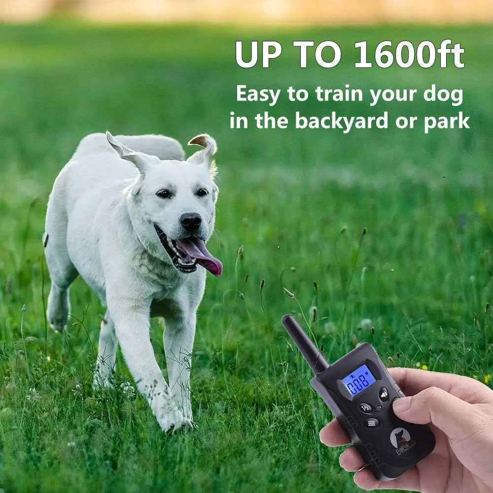 No Shock Dog Training Collar with Remote, 1600ft Rechargeable