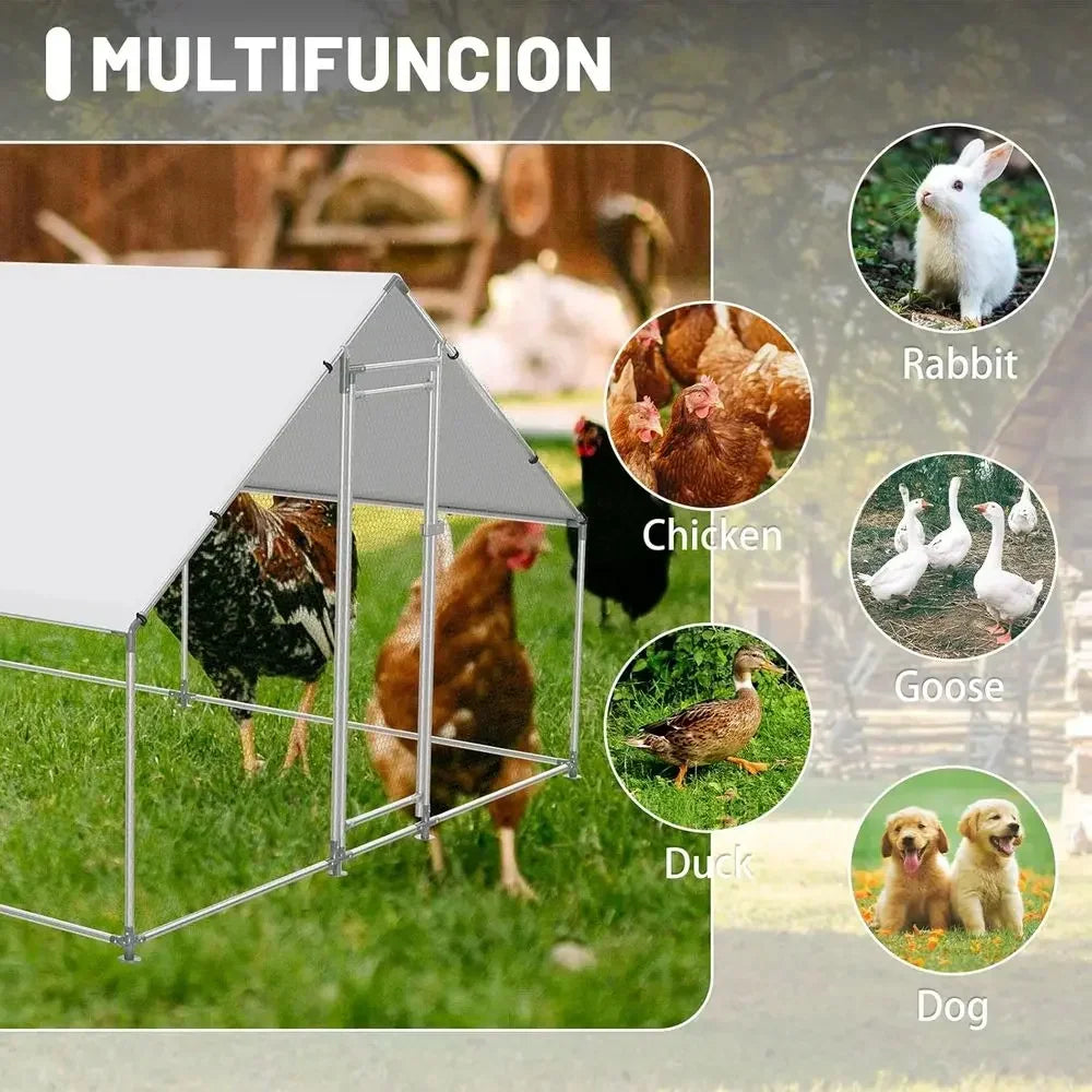 Walk-In Chicken Coop
