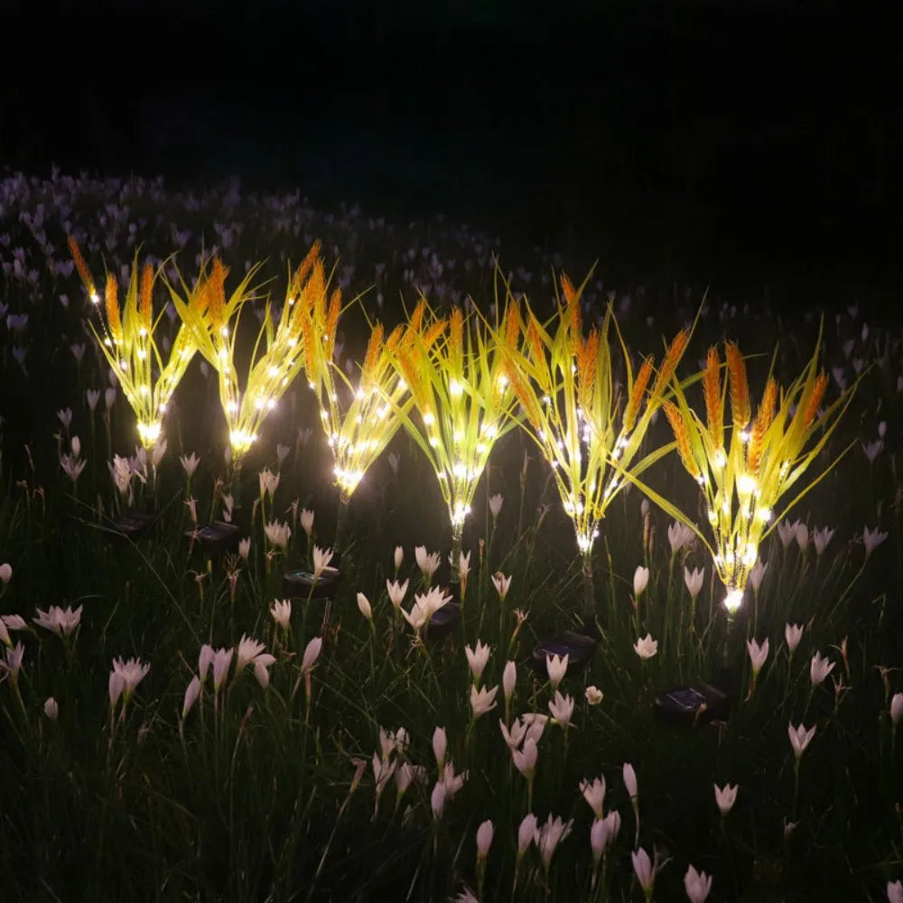 7Head Solar powered light, indoor/outdoor