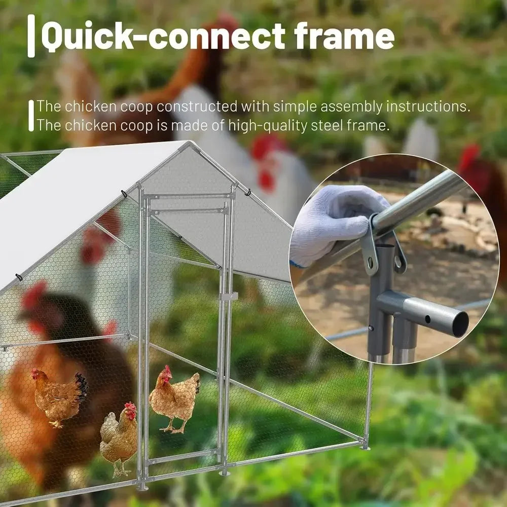 Walk-In Chicken Coop
