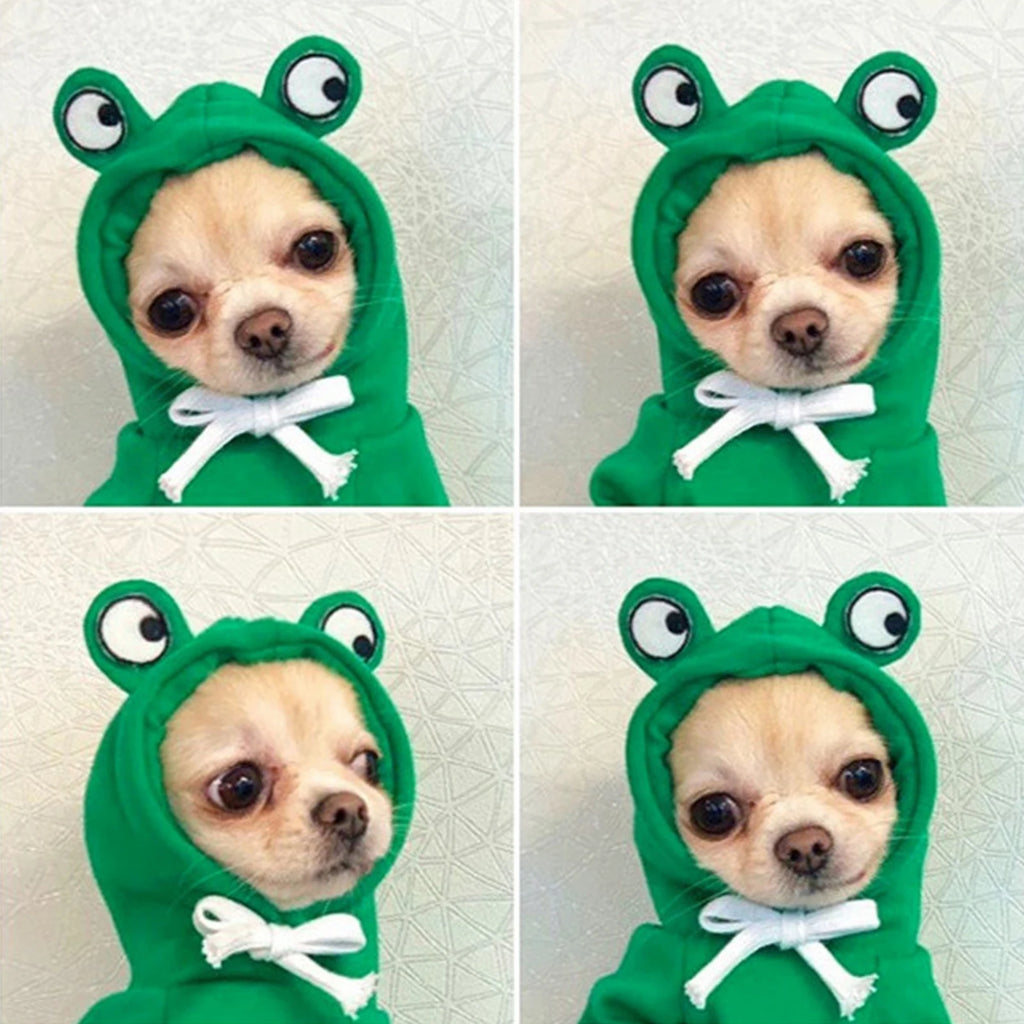 Dog Frog Hoodie Sweater Coat