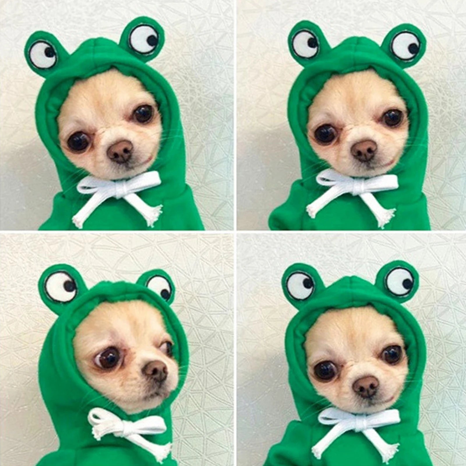 Dog Frog Hoodie Sweater Coat