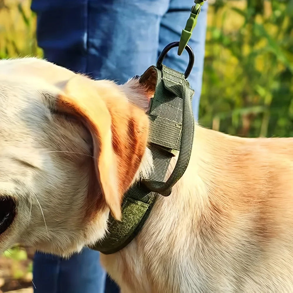 Dog Harness Collar, Vest