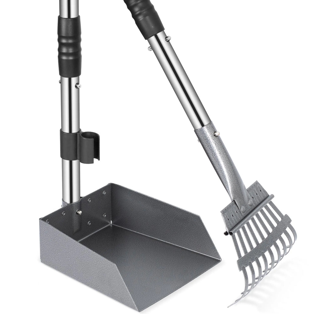 Dog Poop Tray and Rake Set