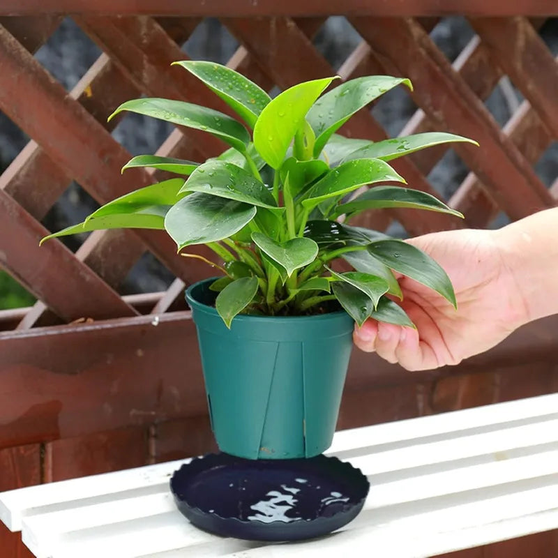 12Pcs Plant Saucer, 6 8 10 Inch