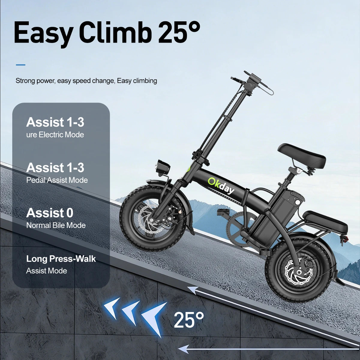 Foldable Electric Bike for Adults