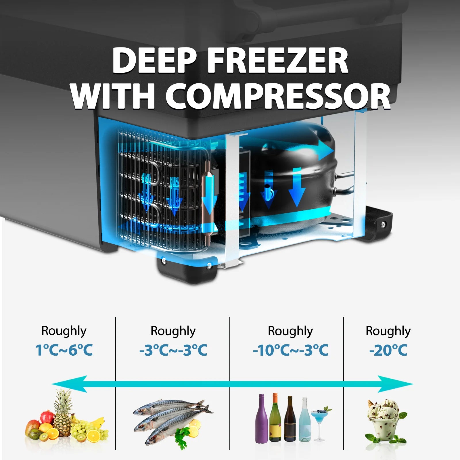 Dual Temperature Control 12 Volt Refrigerator