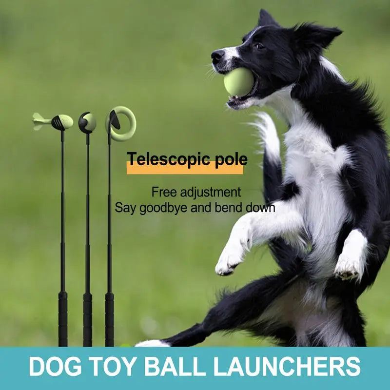 Pet Throwing Stick Launcher Pole