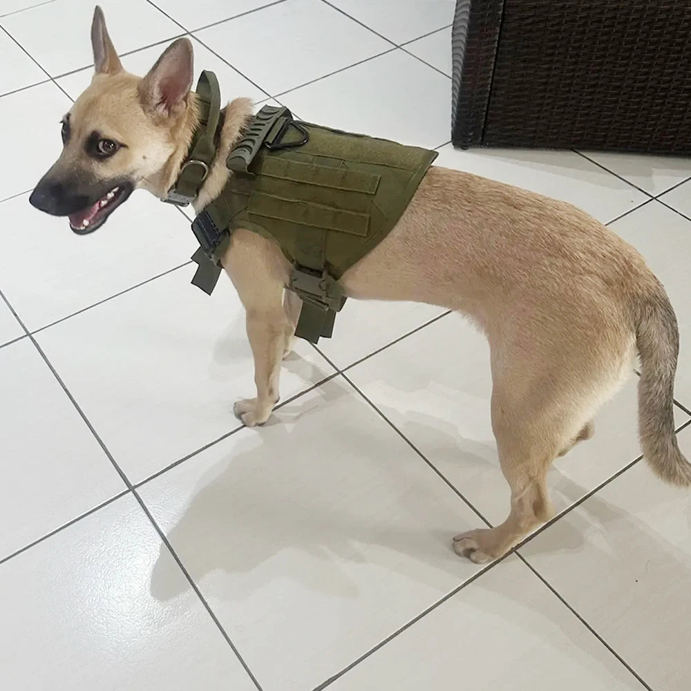Dog Harness Collar, Vest