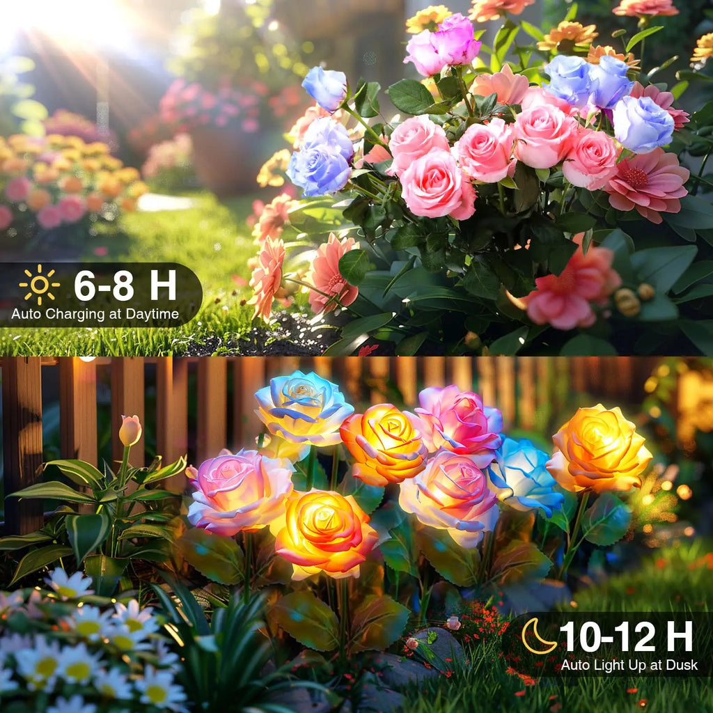 Solar Garden Lights