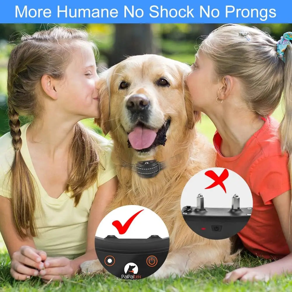 No Shock Dog Training Collar with Remote, 1600ft Rechargeable