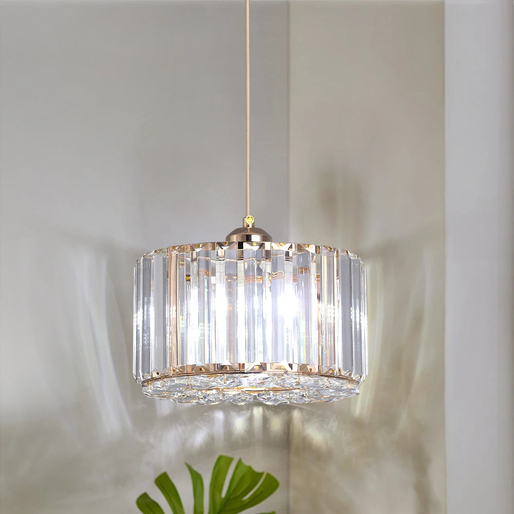 Modern LED Pendant  Light
