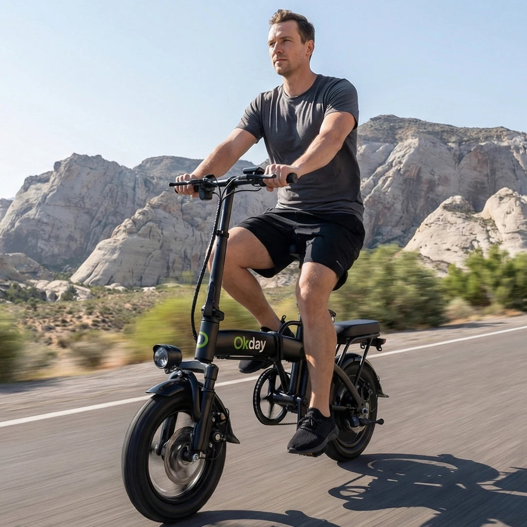 Foldable Electric Bike for Adults