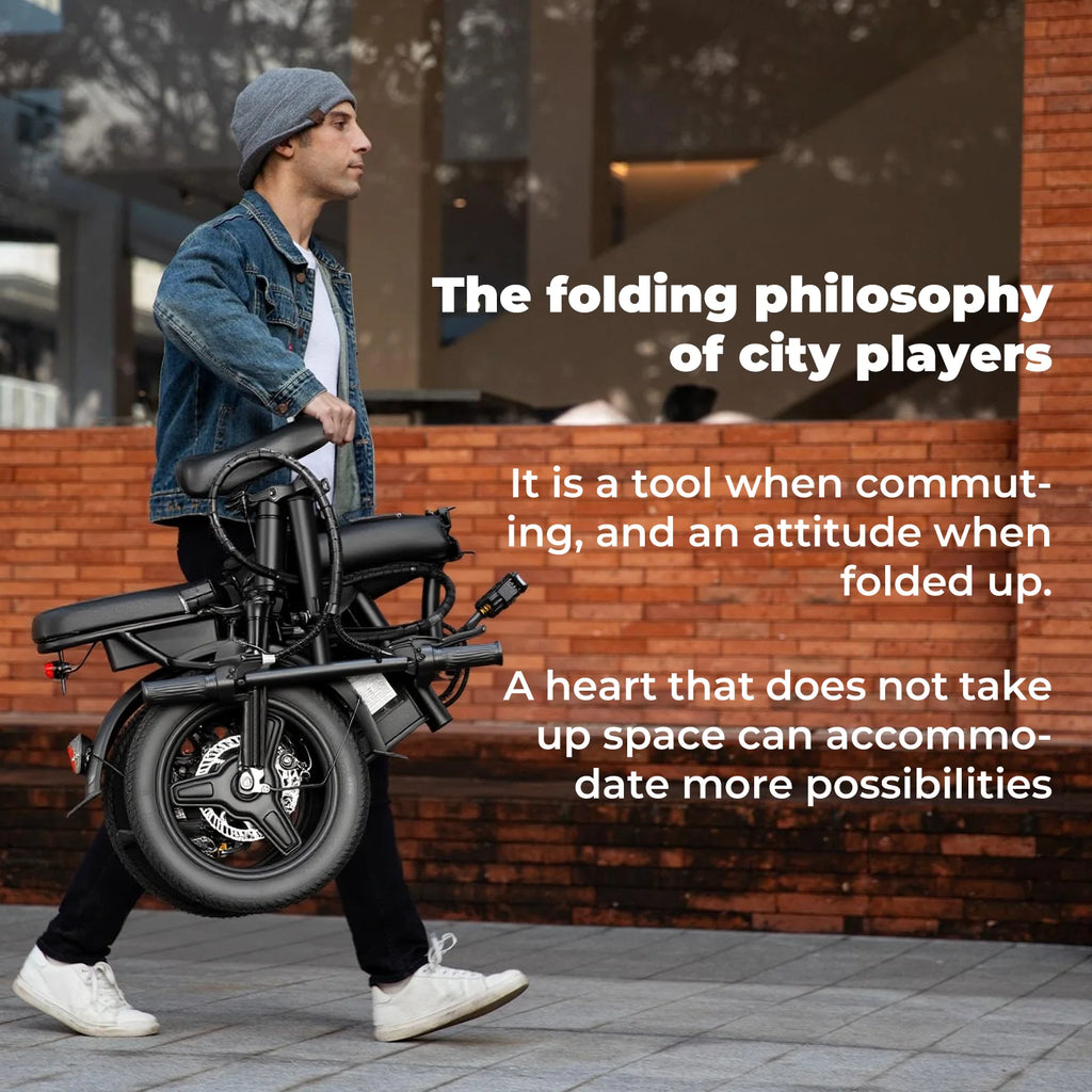 Adult Folding Electric Bike