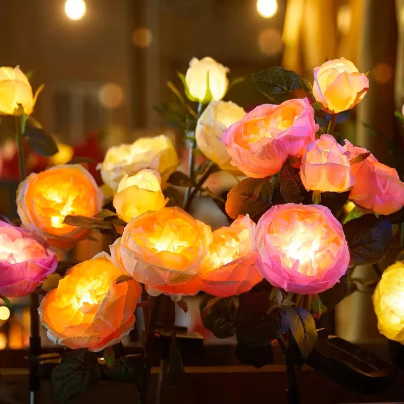 Solar Garden Lights
