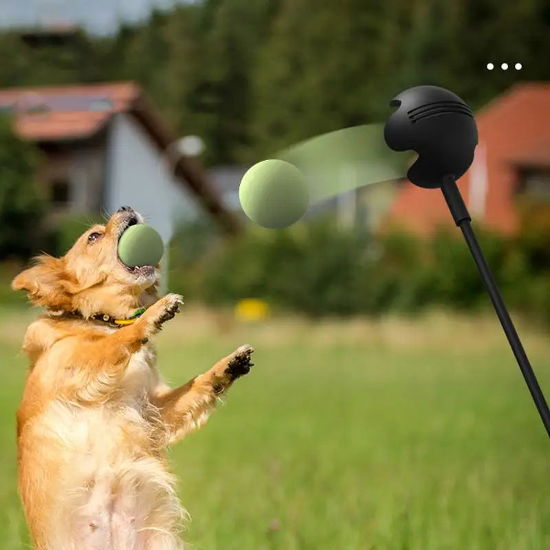 Pet Throwing Stick Launcher Pole