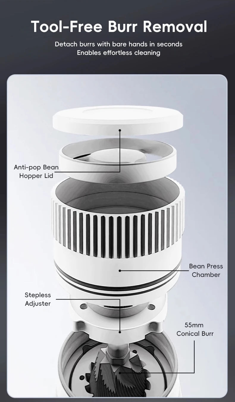 Electric Coffee Grinder/Espresso Bean Grinder